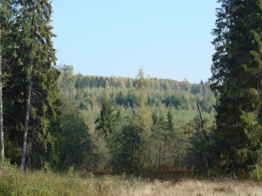 35127 (a): :1024x768
